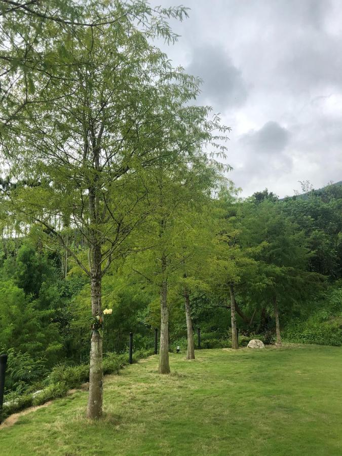 Fenglin Sunrise Forest المظهر الخارجي الصورة