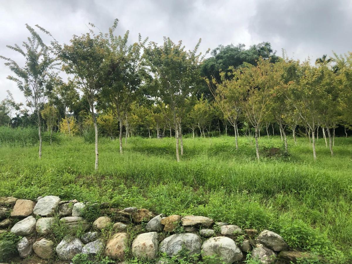 Fenglin Sunrise Forest المظهر الخارجي الصورة